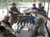 (06/30/2017) - Nice Striped Bass